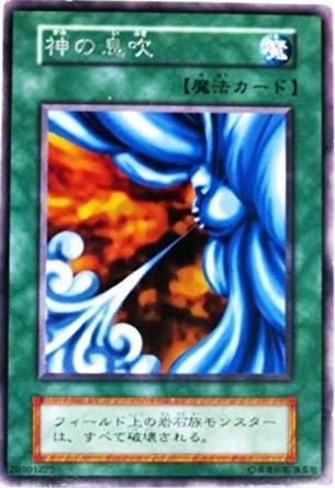 Amazon.co.jp: 遊戯王 OCG 神の息吹 レア : ホビー