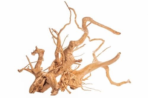 Image of Driftwood for Aquarium Medium Size 1Pcs | Natural Aquarium Decor Driftwood | Random Shape and Style Medium Size 1Pc