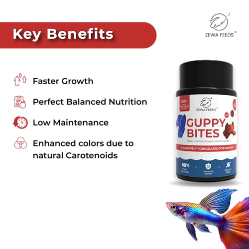 Image of Zewa Guppy Bites 45 g(Pack of 3) | High Protein Fish Food for Guppy & Small Fish | Micro Pellets 0.3-0.6 mm | 88% Digestibility | Rapid Growth & Vibrant Color