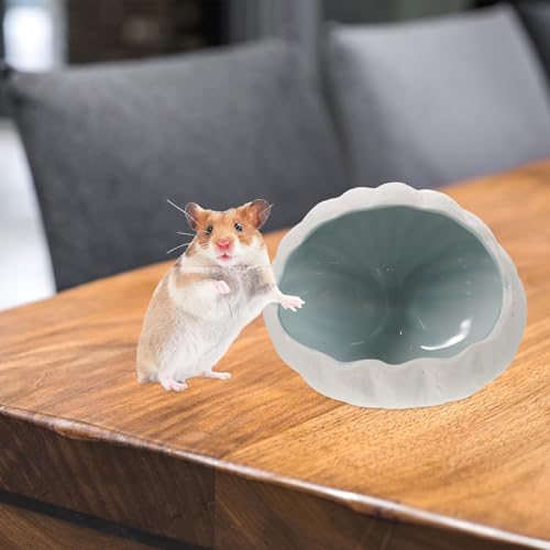 Balacoo Ceramiczny chomik Hideout Shell kształt Chinchilla House piasek dla małych zwierząt (niebieski)