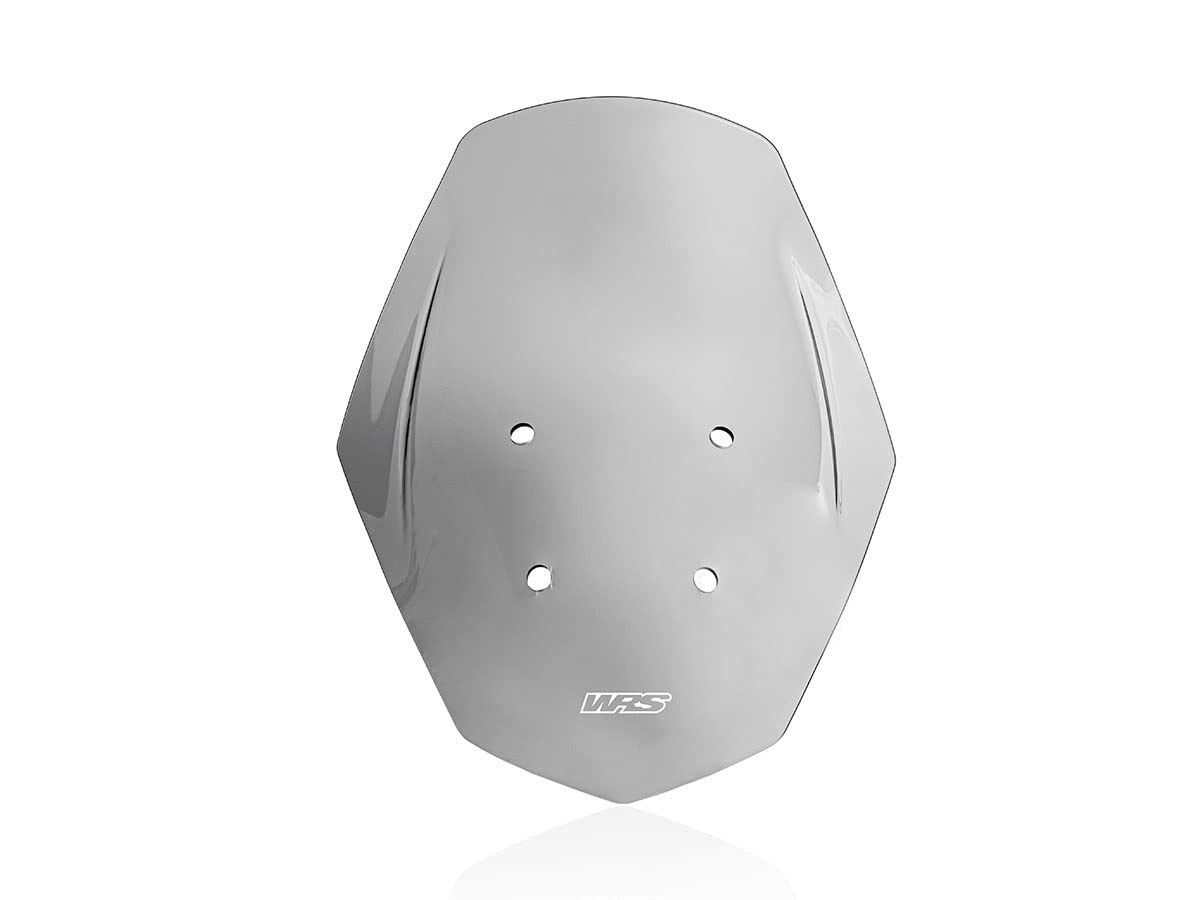 CUPOLINO TOURING FUME' WRS SR GT 125 / 200 2022-2025