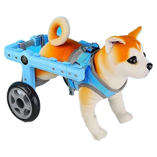 Fauteuil roulant pour chien pattes arrière chat marcheur assisté L