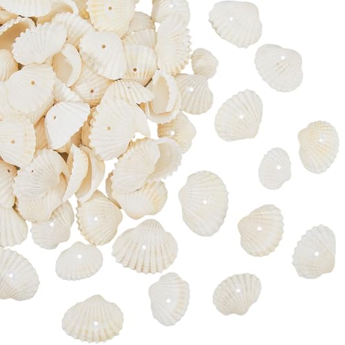 PONABEADIY Natural Freshwater Seashell Beads