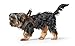 Hunter Hundegeschirr Love, Farbe: braun, weiches Rindsleder, atmungsaktive Mesh-Polsterung, Herz handgenäht, hoher Komfort, Made in Germany, Größe: XS-S