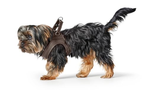 HUNTER Hundegeschirr Love, Farbe: braun, weiches Rindsleder, atmungsaktive Mesh-Polsterung, Herz handgenäht, hoher Komfort, Made in Germany, Größe: S