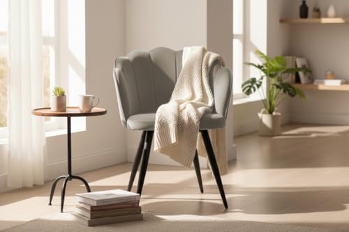 Image of Finch Fox Blake Luxurious Home Collection Dining Room Chairs in Beige Velvet Material & Stylish Design with Black Metal Powder Coated Legs