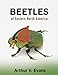 Beetles of Eastern North America