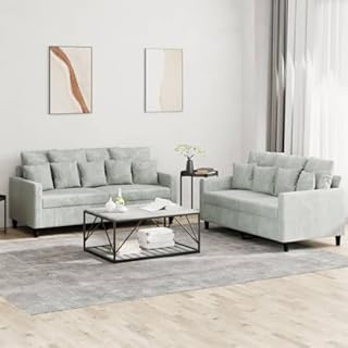 vidaXL Ensemble de Canapés avec Coussins 2 pcs, Canapés avec Accoudoirs et Dossier, Ensemble de Meubles, Mobilier de Salon, Moderne, Gris Clair Velours