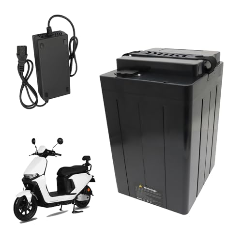 Batterie pour scooter 48V 20Ah lithium avec chargeur pour moto électrique et cyclomoteur