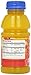 Langers Juice, Mango Nectar, 10 Ounce (Pack of 12)