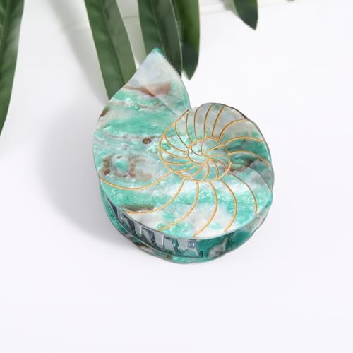 Conch Claw Clip,Personalized Sea Shell Acetate Hair Clips for Women Small Summer Beach Hair Clip Claw for Women Seaside Holiday