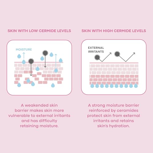 Image of Ceramide Mochi Toner Korean Skincare Formula With Hyaluronic Acid And Panthenol Liquid For Women And Men Improves Skin Texture And Strengthens Natural Moisture Barrier All Skin Types Including Oily (Ceramide Mochi Toner 100ML)