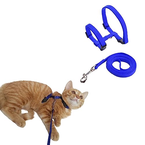 Coleira Peitoral para Gato Regulável e com Guia (AZUL)