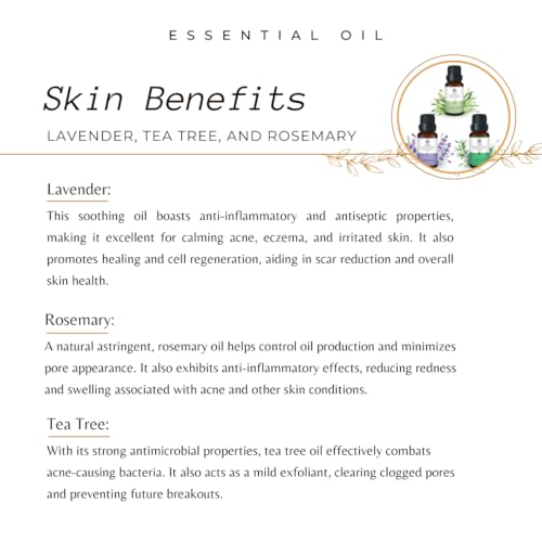 Image of 100% Pure Rosemary oil, Lavender oil, Tea Tree oil Combo For Acne and Hair Regrowth 15ml (Set of 3)