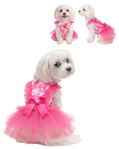 Image of CuteBone Hot Pink Cherry Blossom Pet Dress for Small Dogs, Cats - Double-Layer Ruffled Skirt - Satin Bow - Spring, Summer, Party Dress