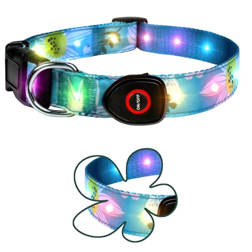 Light Up Dog Collar, LED Dog Collar Glow in The Dark - USBC Rechargeable, 3 Flashing Modes Adjustable Glow Collar, Safety Fashionable Cute Dog Light Up Collars for Medium Large Dogs Green