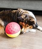Outward Hound Nina Ottosson Hundespielzeug Intelligenz - Stufe 1 Anfänger - Leckerli-Spender, Beschäftigung & Intelligenzspielzeug für Hunde & Welpen, bei Langeweile & mentaler Stimulation