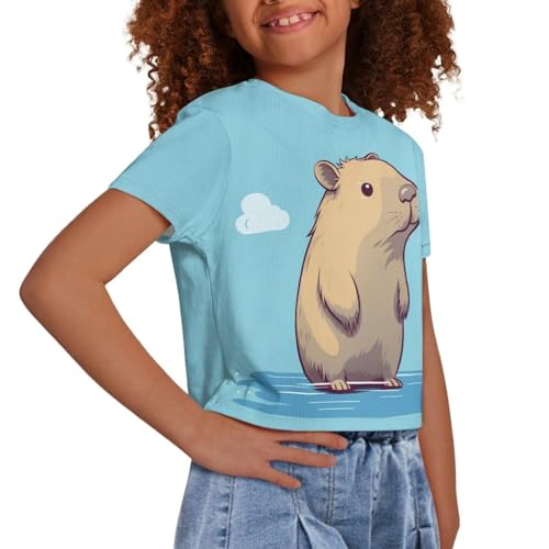 Image of Girl Crop Top Shirts for Summer Cute T Shirts Short Sleeve Tees for Kids 5-16