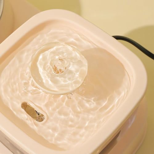 Distributeur d'eau pour chat extérieur et alimentation lente en jardin