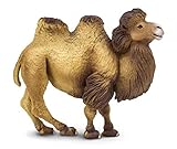 figura encuentra el camello Los camellos bactrianos pueden vivir hasta tener más de 50 años, así que tendrás toneladas de tiempo para pasar con este increíble animal.