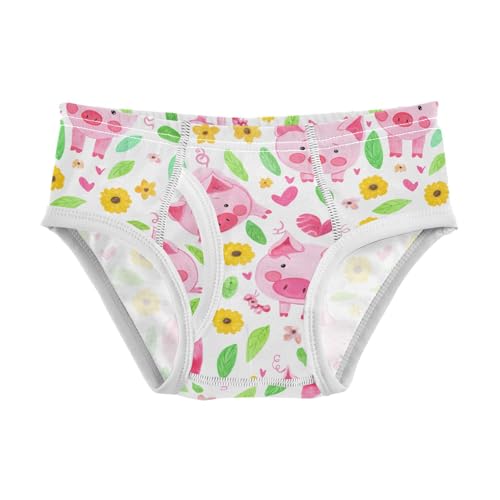 Cute Pink Pigs Toddler Boy's Underwear 2T 202c1806