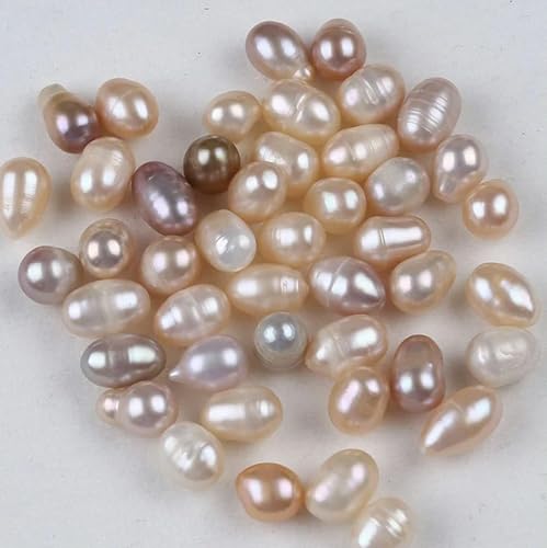 [ȓX] t@bViuȒW^lbNX [Xp[ {̃ICX^[Rei GKgȃMtgZbg y_g r[YP[W Wish Jewelry