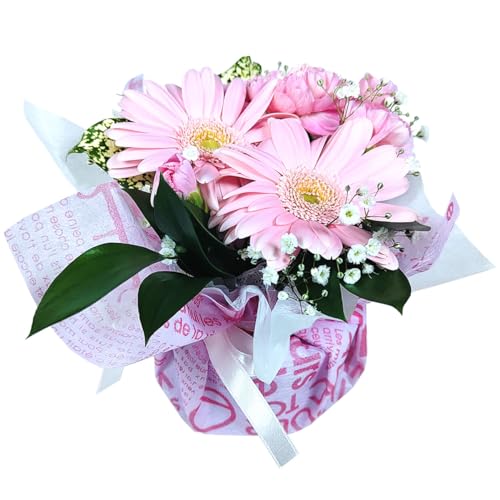  a v[gw ق̋C  v`AW xG߂̂ v`Mtg ~jMtg  Mtg ̂܂܏ t[AWg ԕrsv  j q \ o[Xf[ LO oYj j җ hV  