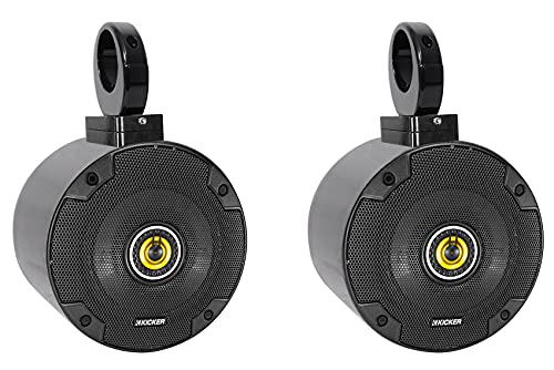 (2) Kicker CSC54 5.25