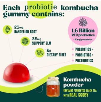 𝗣𝗿𝗼𝗯𝗶𝗼𝘁𝗶𝗰 Kombucha Gummy - Promueve la salud intestinal, apoya la salud digestiva y alivia la hinchazón - Probióticos para mujeres y hombres - Vegano, sin OGM
