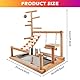 Wellensittich Spielplatz,Vogelspielplatz aus Holz,Papageienspielständer mit Feeder Cup,Spielzeug Leiter Erklimmen Schaukel und Tablett,Vogelspielzeug Spielplatz Vogel-Spielplatz,Papageienspielzeug