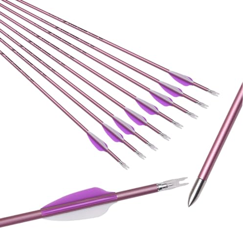 Toparchery 6er Pfeile für Bogenschießen 31 Zoll Reinem Carbonpfeile ID4,2mm Bogenpfeile mit Naturfedern (Spine 900)