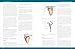The Vital Shoulder Complex: An Illustrated Guide to Assessment, Treatment, and Rehabilitation