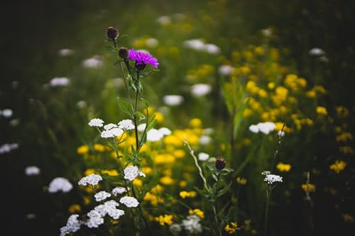 Letters from Quotidia 2023 Podcast 5