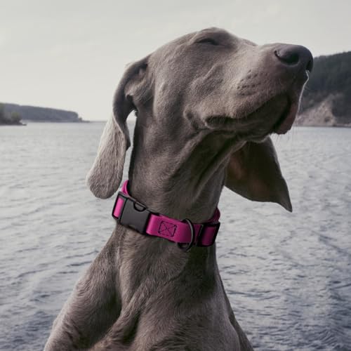 Image of Dogline Biothane Waterproof Dog Collar with Quick Release Buckle Strong Coated Nylon Webbing with Odor- Proof for Easy Care Easy to Clean Fits Small Medium Large Dogs, Magenta Pink 1 inch W 15-23 inch L