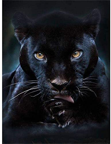 Image of DIY Diamond Painting Kits for Adults Full Drill Black Panther 5D Rhinestones Embroidery Cross Stitch Decompression Crafts,Wall Decoration (8x12Inch)