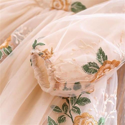 Girls Long Sleeve Embroidery Floral Dress Cute Full𝐲 Tulle Tutu Maxi Dresses Cute Vintage Flowy Princess Dress3