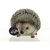 Vivid Arts Pet Pals Igel Figur - 15cm Niedliche Resin Dekofigur