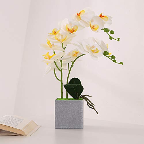 ENCOFT Flores Artificiales Plástico Flor de Phalaenopsis Realista Orquídea Mariposa con Maceta Imitación Cerámica Decoración