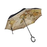 Größe: Länge geöffnet: 110 cm, Länge gefaltet: 80 cm, geschwungene Länge: 122 cm.