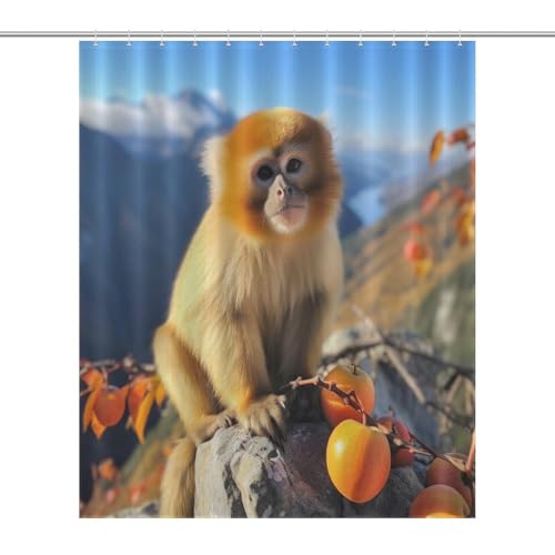 Rideau de douche singe en polyester 152x183 cm avec 12 crochets - 7
