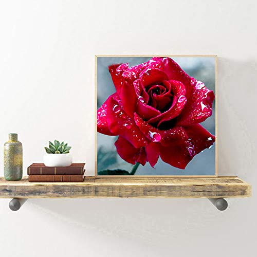 Rosa Rossa 5D DIY Diamond Painting Fiori Kit