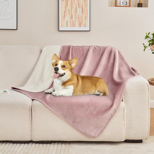 Couverture imperméable anti-fuites pour protéger efficacement votre lit des animaux - 7