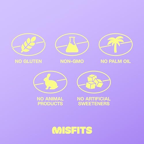 Misfits Vegan Protein Bars, Caramel Fudge - Updated Recipe | Plant Based, Low Sugar & Carb, High Fiber Snacks | Pack of 12