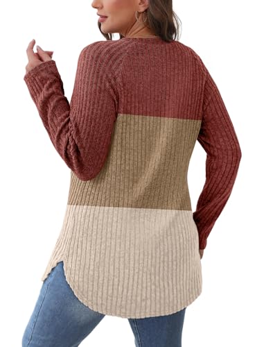 Image of Saloogoe Long Sleeve Shirts for Women 2025 Fall Clothes Tunic Tops Loose Fit Dressy Crewneck Pullover Sweaters Curved Hem