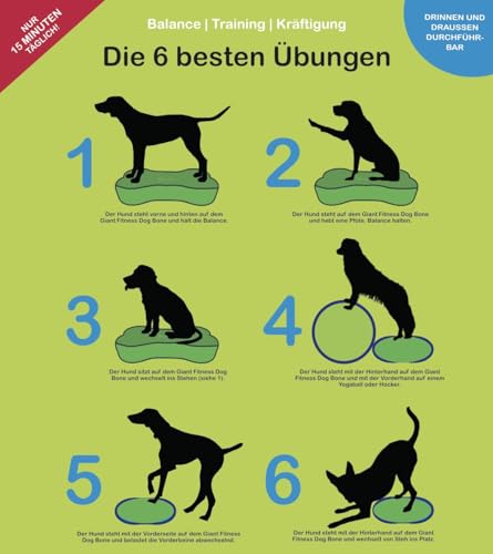 Better4Pets Powered by Wolfpack | Giant Fitness Dog Bone für Große Hunde Balance/Kraftstation/Trainingsgerät/Agility/XXL/hundespielzeug/zuhause/Trainingsgerät für Hunde (Standard)