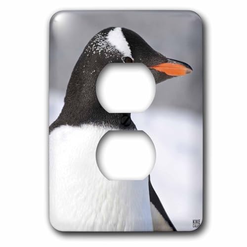 Gentoo Pingouin double plaque pour habiller et protéger vos prises électriques