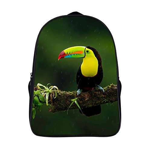 Sac à dos d'école cool Toucan : le compagnon des enfants de la classe aux sorties du weekend