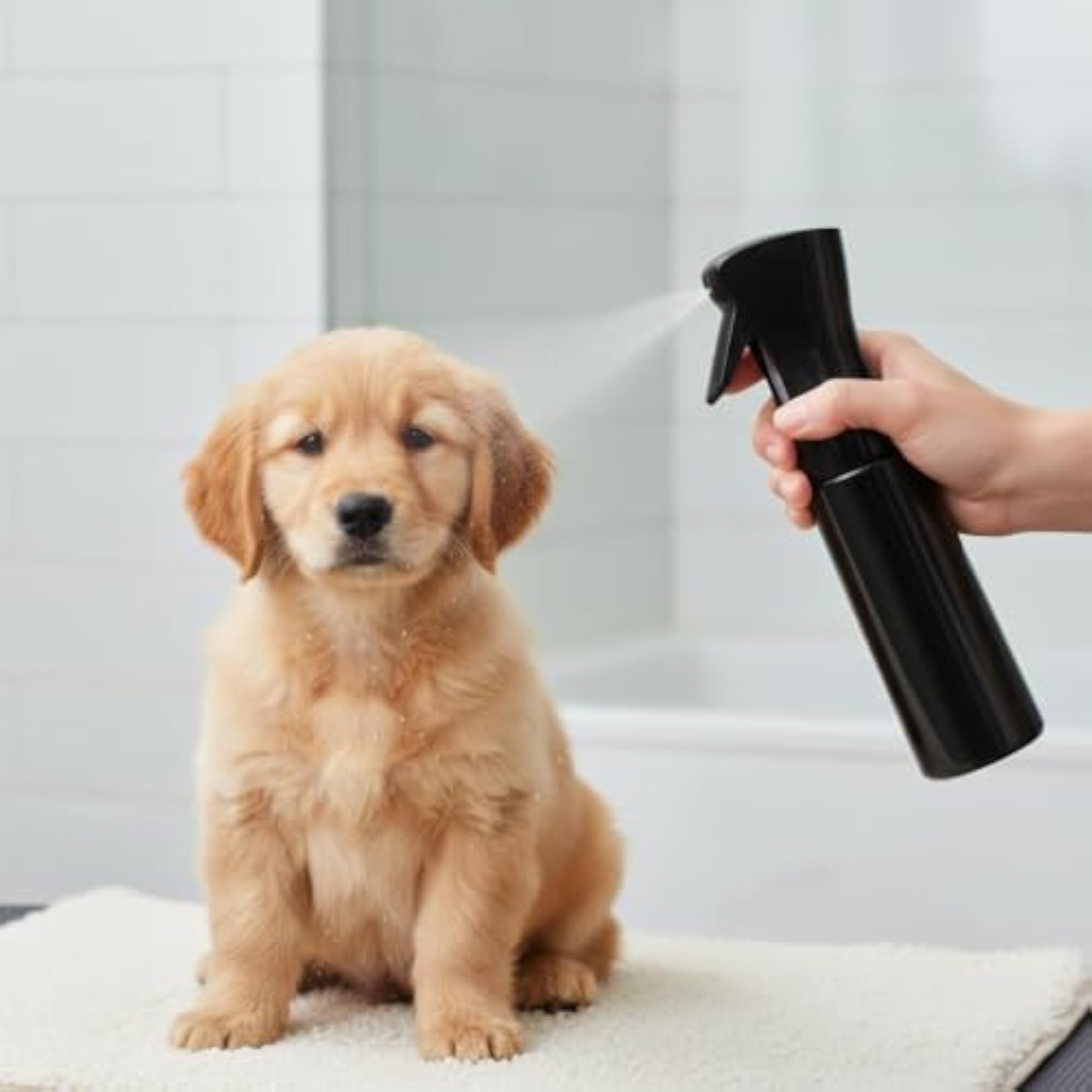 Refillable Spray Bottle for Hair, Plants, and Cleaning, Gift Idea