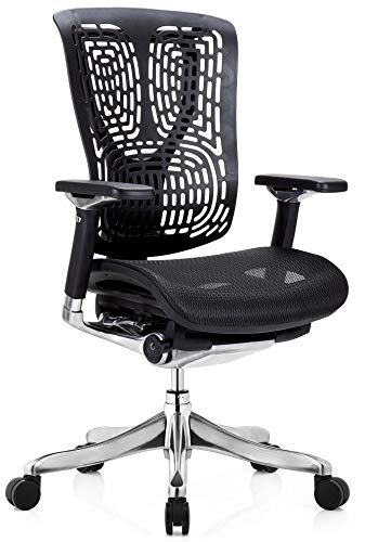 Ergobilt High-Back Executive Task Swivel Desk Ergonomic Mesh Office Chair, Black and Chrome