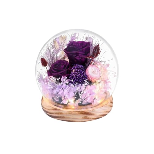 Long-Lasting Real Flowers,Preserved Rose in Glass Dome with Hydrangea and LED Light,Roses Gifts for Women Mom on Mothers Day Birthday Valentines Day Christmas Thanksgiving (Purple&Pink Austin Rose)